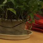 Shenglian Zhou さんのプロファイル